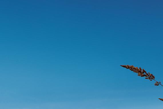 在充斥着网红脸的汽车圈里，越来越发现CS75的美