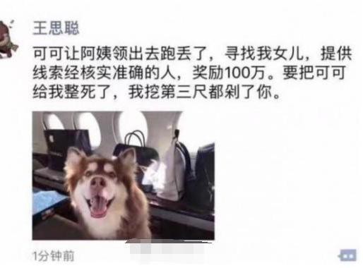 国民老公王疑赏百万寻狗，座驾近千万，开豪车撸串