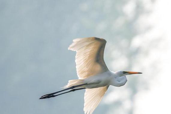 舒适只看合资？看帝豪GL如何重新定义“第三空间”
