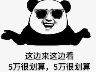 不排队、还免税，最实惠几款纯电动补贴后只要5万！