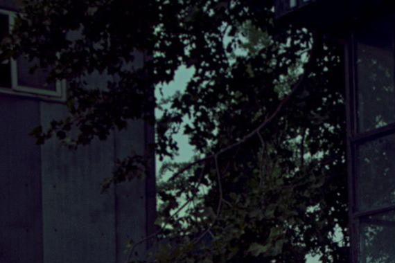 你不能忍受别人在你车上干！什！么！