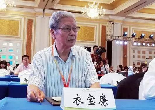 对话工程院衣宝廉：2030年中国燃料电池车达到百万辆