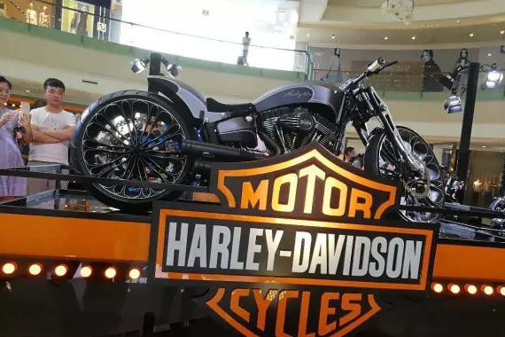 骑士们的哈雷梦：原谅我这一生不羁放纵爱自由……