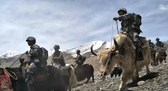 印度边防部队最羡慕解放军哪种装备?竟是巨萌神兽!