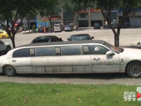 百万加长豪车甩路边 临时停靠到车身都长了青苔