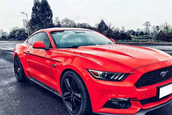 为信仰而生，没有小毛病就不叫Mustang了