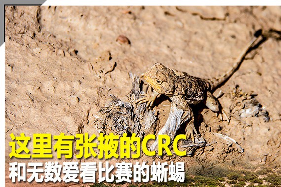 这里有张掖的CRC和无数爱看比赛的蜥蜴