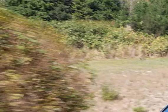 途锐在美国萎靡多年终停产，大众想把途观当途锐卖？