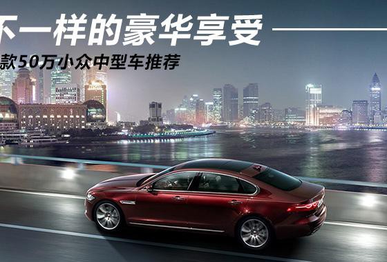 不一样的豪华享受 三款50万小众中大型车推荐