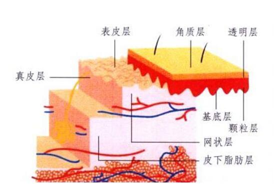 敏感肌护理不当的后果：