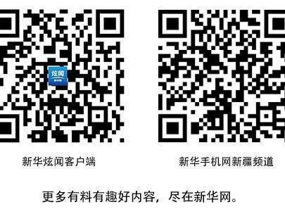 新能源车企“抢滩”新疆市场 公用专用车型备受青睐