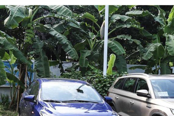 开车的都看看！停车怠速1小时，竟然要烧这么多油！