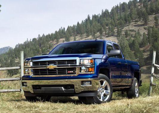 不怕贼偷就怕贼惦记，最招贼车型，一年被偷5万辆