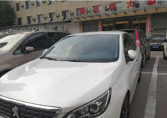 小辛巴实力蜕变之路