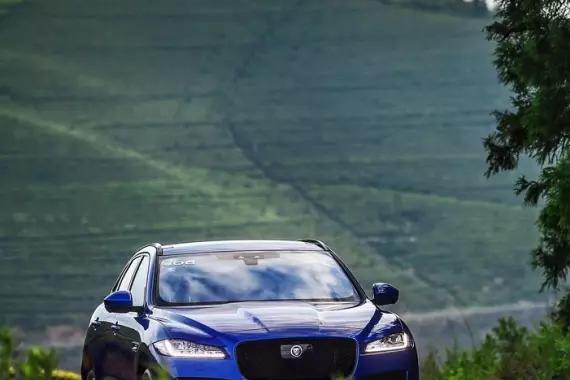 像段誉这样的“二代”，你能找出来几个？