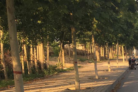 坎坷选车路，最后喜提福特蒙迪欧，提车改装实录