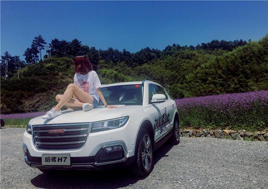 卿车上路l结硬寨打呆仗 最让合资紧张的还是哈弗