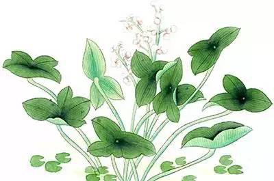 三伏天来了！千万别做这8件事，伤心又伤脾…