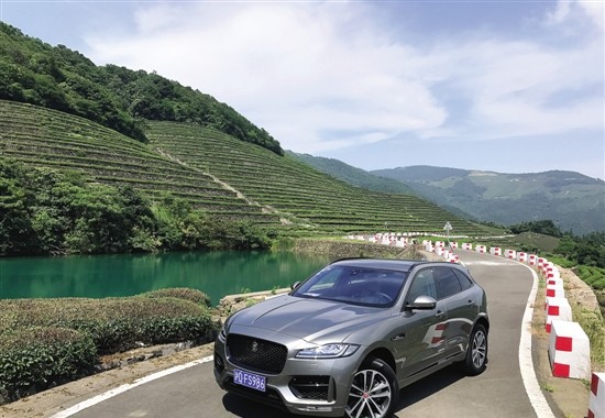 试驾捷豹新款F-PACE 2.0T：“豹”发·力[图]