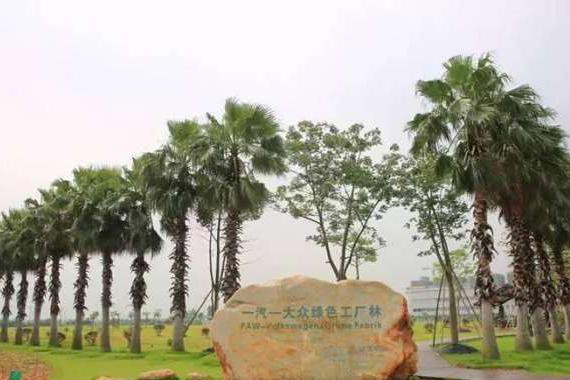 一分钟下线一辆新车，这家“处女座”工厂说不满足！