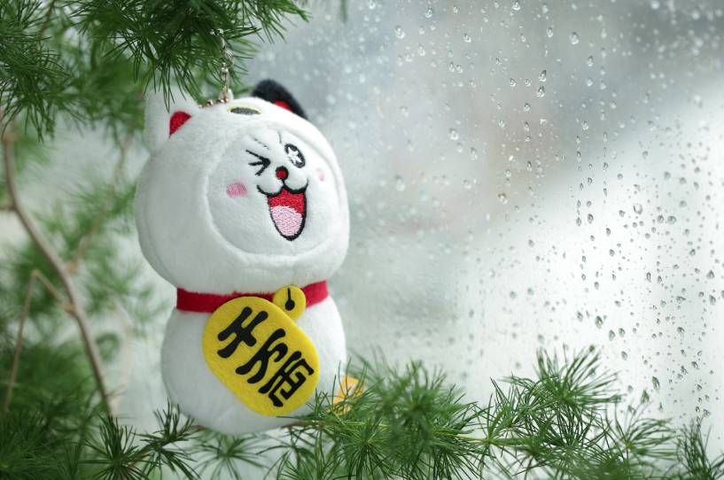 这4个星座,下半年运气爆棚!