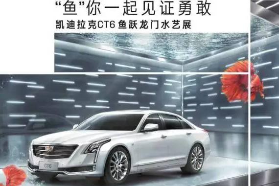 成都史上最劲爆：一台凯迪拉克CT6开进了鱼缸！