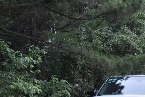 性价比最高的路虎可不是发现神行，而是这个