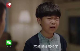 《我的前半生》心疼平儿,但是佳清更可怜,儿子教育是凌玲最大悲哀 《我的前半生》心疼平儿,但是佳清更可怜,儿子教育是凌玲最大悲哀