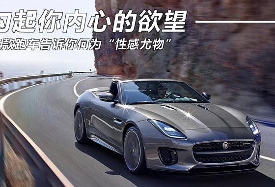 勾起你内心的欲望 能称为“性感尤物”的三款跑车