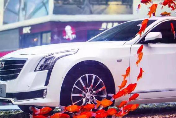 来IFS，见证一个勇敢的开始