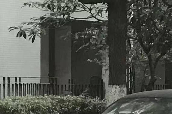 限量版帕萨特见过吗，中国只有2千辆，当年可是豪车