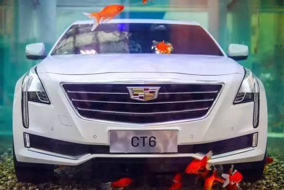 为什么凯迪拉克鱼缸装置是成都营销史上最好的案例？