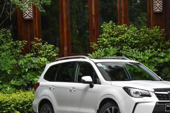 家用能买菜，越野能进藏，这些全能SUV可以有！