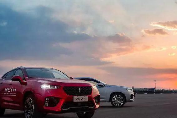 大侠魏建军的WEY式赌局