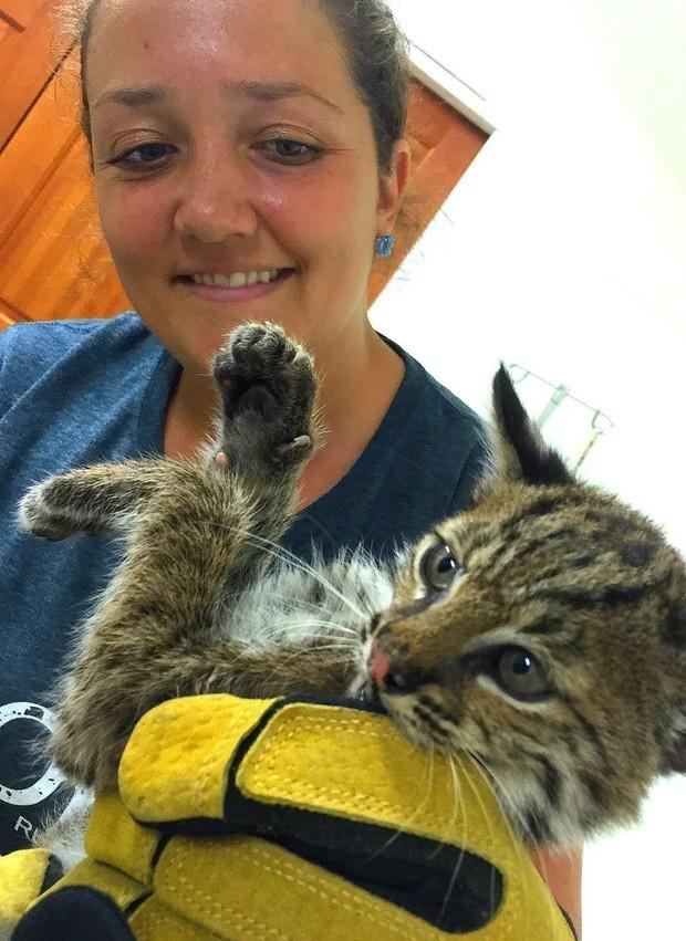 以为在高速上拯救了一只可怜小猫,后来才发现