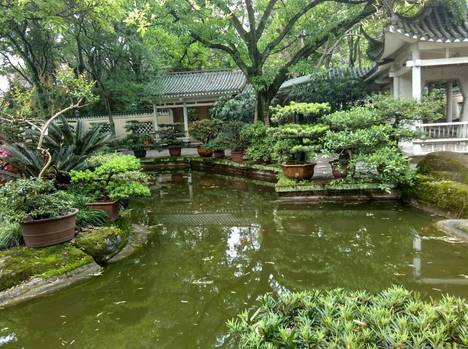 重庆38区县最高山排行榜出炉! 赶紧看看你的家