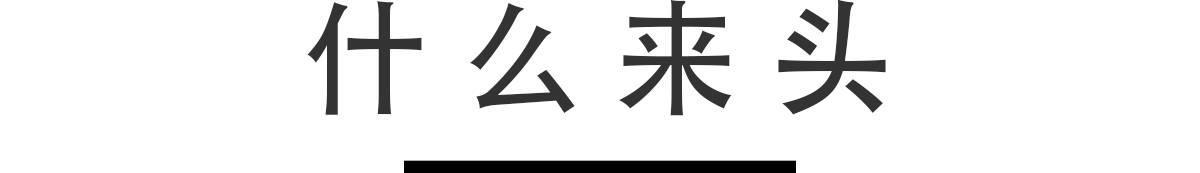 又推新款，TA是行走在陆地上的“豪华游艇”！