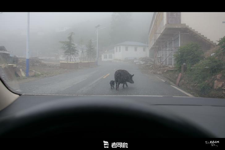 神的孩子都要去西藏，大学生毕业旅行自驾进藏游记