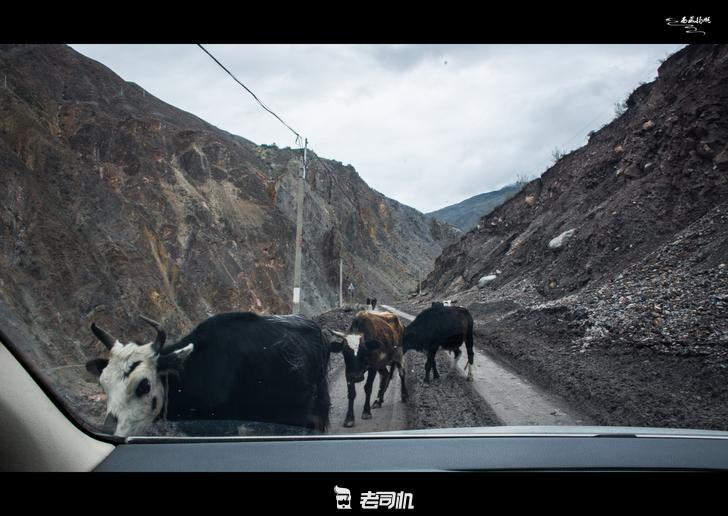神的孩子都要去西藏,大学生毕业旅行自驾进藏游记