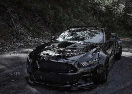 爆改“野马”，身价翻一倍，可一看性能野马笑了！