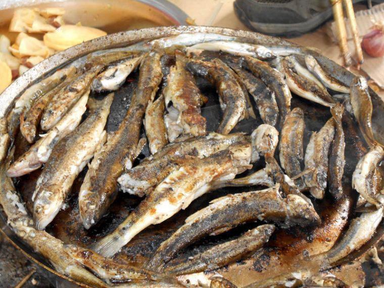 东北特有的野生小鱼柳根子被称之为鱼之珍品
