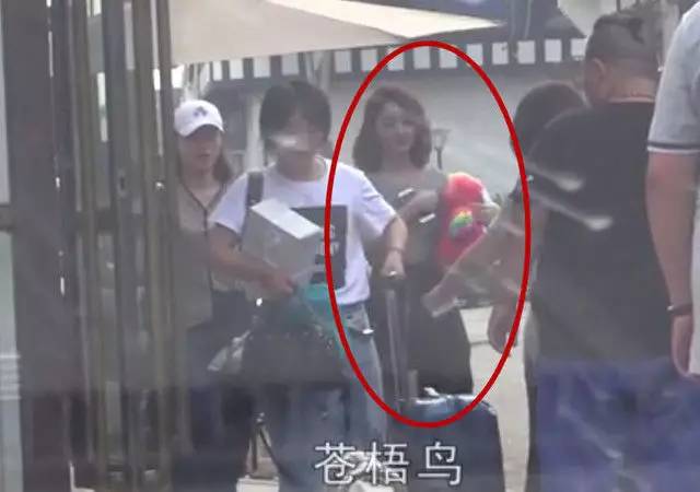 趙麗穎