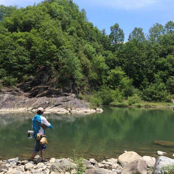 用蛆虫钓马口鱼, 一分钟就能钓两三条