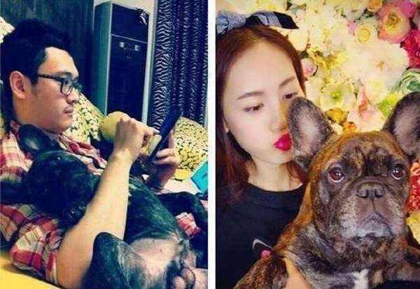 马蓉蹭吴京热度被打脸 其父炫富不慎曝光宋喆爱犬