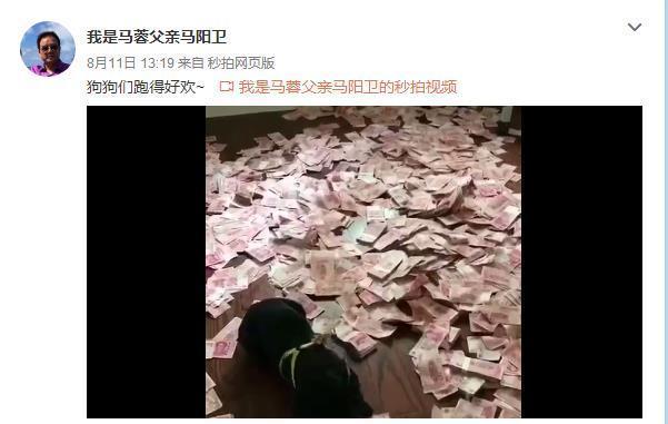 马蓉蹭吴京热度被打脸 其父炫富不慎曝光宋喆爱犬