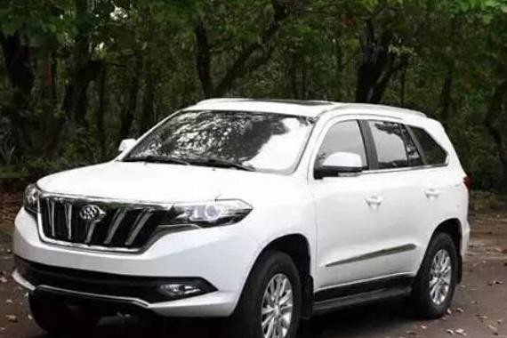 王健林对董明珠说：五亿造车没白花！网友见车标直呼