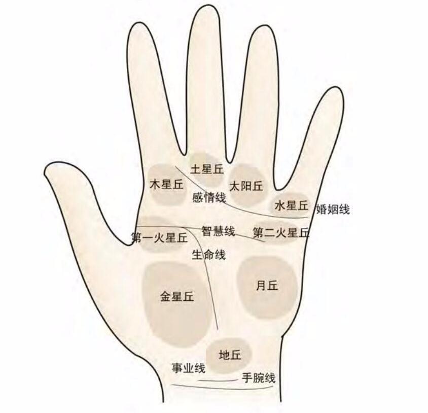 老祖宗传下来手面相口诀，看完就能自看相，收藏备用
