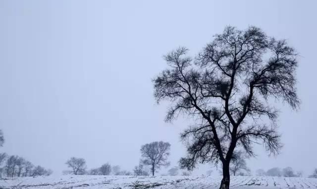 2018年或将取消教师编制,你还愿意当老师吗?