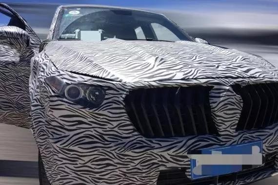 每日车事：拿奇瑞换标卖，观致接地气还是变Low？