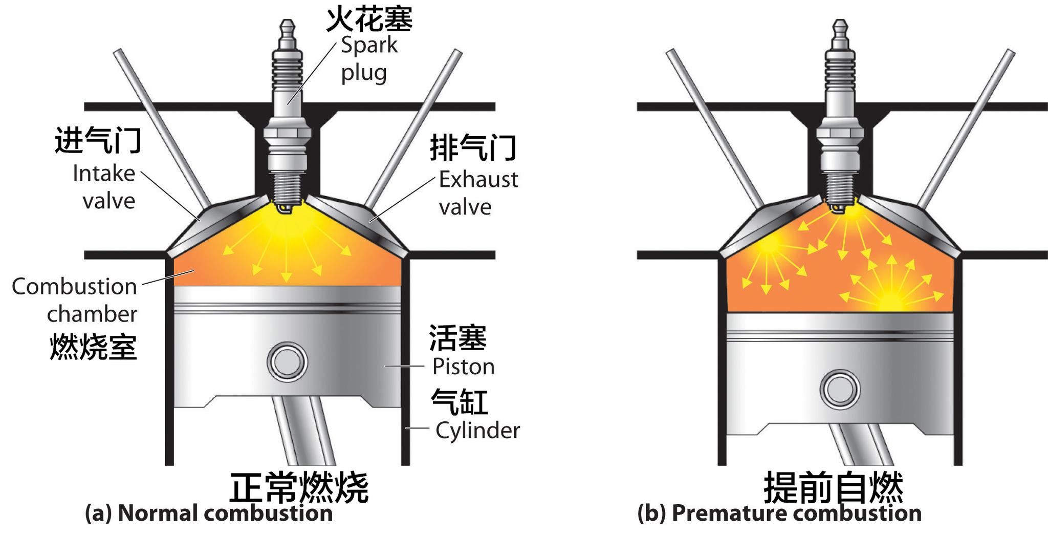 大部分车加95号汽油是浪费，美国权威媒体有共识